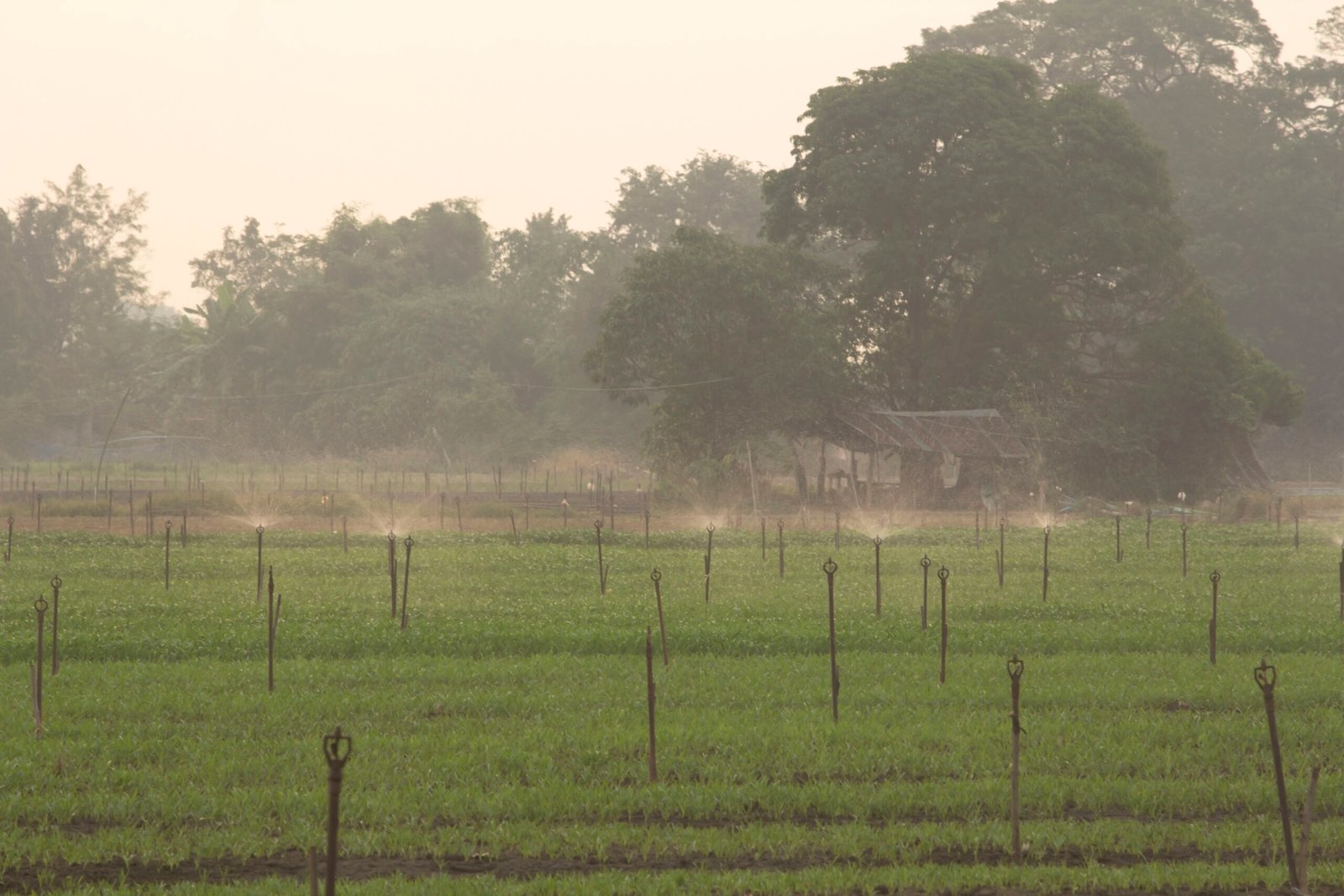Agro Infrastructure